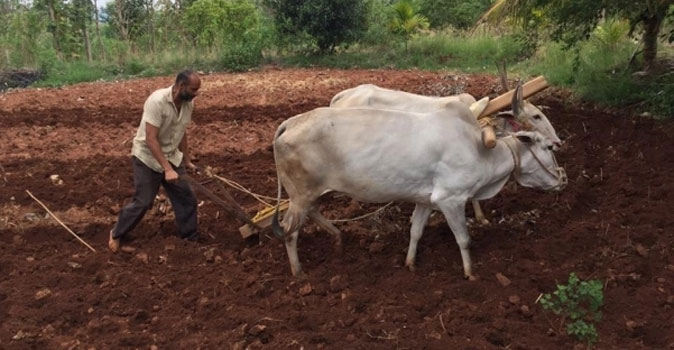 Kishore farming 