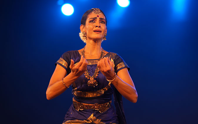 Provoke Art Festival 2025