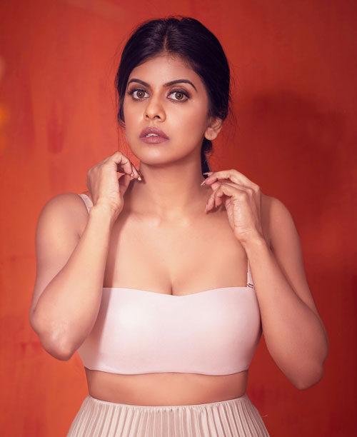 Actress Swagatha Krishnan