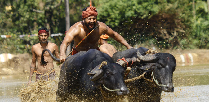 ’காந்தாரா’ திரைப்பட விமர்சனம்