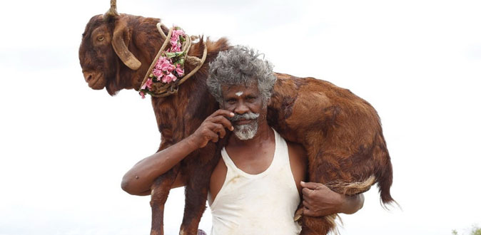 ’ஒண்டிமுனியும் நல்லபாடனும்’ திரைப்பட விமர்சனம்