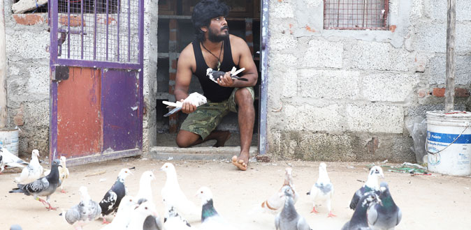 புற பந்தயத்தை மையமாக வைத்து உருவாகும் ‘பைரி’