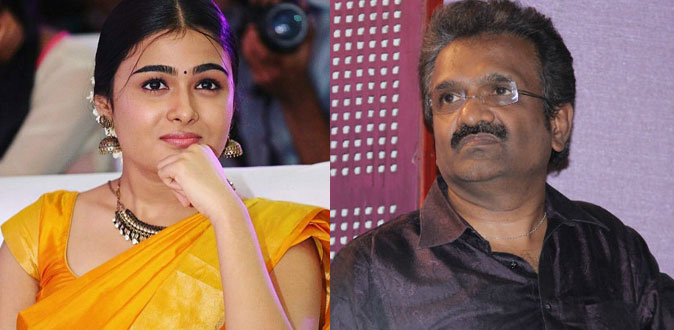 நடிகை ஷாலினி பாண்டே மீது மோசடி வழக்கு! - தயாரிப்பாளர் டி.சிவா அதிரடி