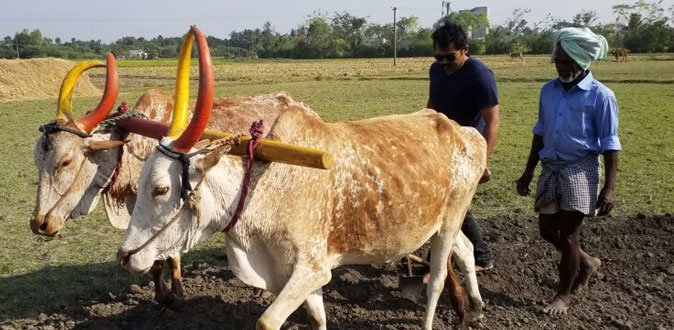 குடும்பத்தோடு விவசாயம் கற்கும் நடிகர் கார்த்தி!