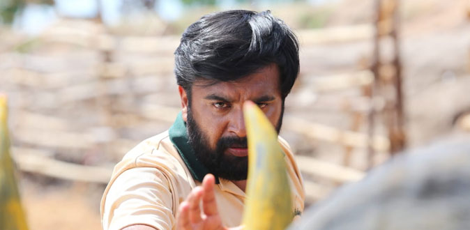 ’சர்தார்’ தயாரிப்பாளரின் ‘காரி’! - சசிகுமார் நடிப்பில் 25 ஆம் தேதி வெளியாகிறது