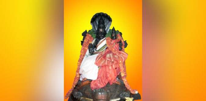 ஸ்ரீ தன்வந்திரி ஆரோக்கிய பீடத்தில் ஸ்ரீ நரசிம்ம ஜெயந்தி விழா! - மே 17 ஆம் தேதி நடைபெறுகிறது